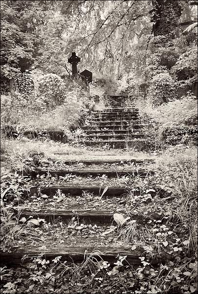 Old Cemetery Steps.jpg